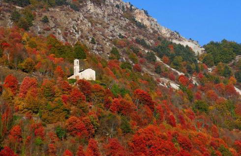 Pin e cele - Foto 25