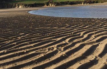 Old Hundredth , Kingston, Kingsbridge, Devon, UK - Foto 27