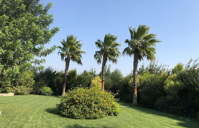 Relais Masseria Della Colomba - Foto 43