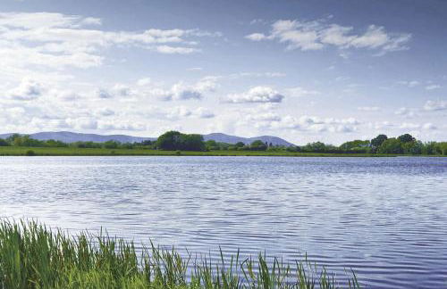 Herons Nest - Foto 24