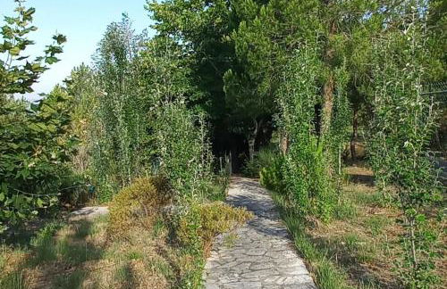 Moradia na Serra - Foto 22