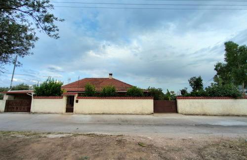 Olive apartment - Foto 29