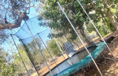 All'Ombra del Gelso, trullo con piscina - Foto 16