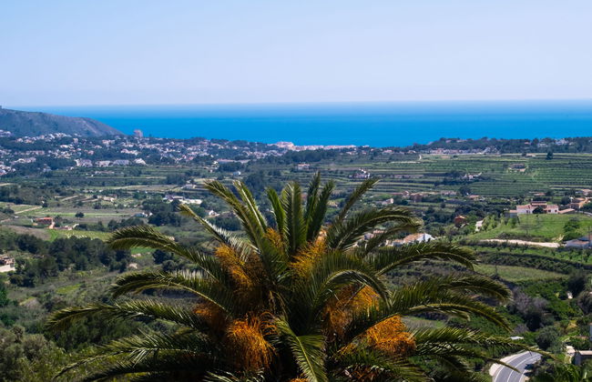 Castellons Vida - Foto 18