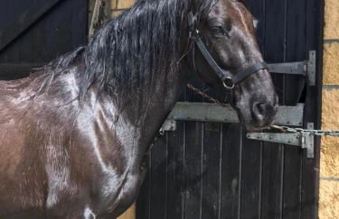 Agroturismo Anziola - Foto 22