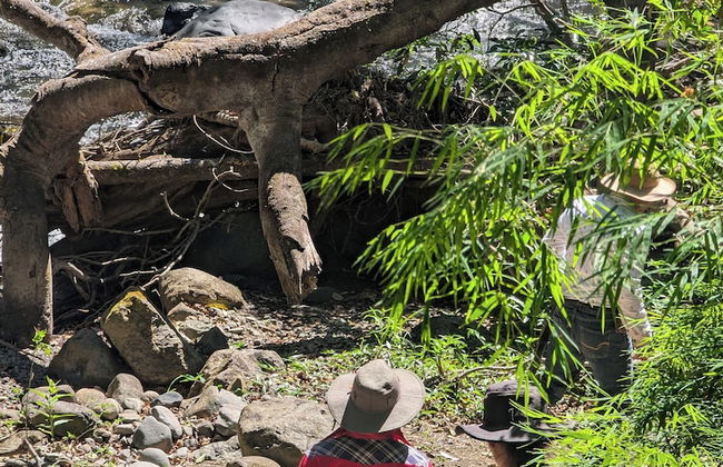 Campos de Oro Wilderness Lodge - Photo 49