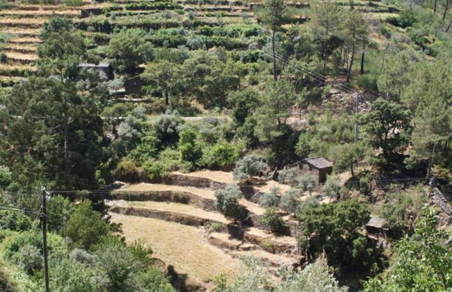 Spacious Holiday Home on Estate Near Covas - Foto 26