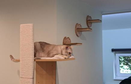 Fun holiday lodges in historic walled garden near Falkirk, Heart of Scotland Holidays - Foto 71