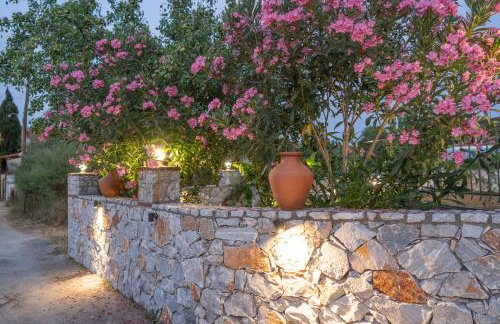 Miranta's Cottage - Photo 62