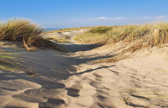 Modern Holiday Home, Near the Sea - Photo 36