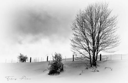 Casa La Huerta - Foto 40