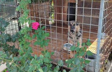 Apartman "SaraP" Metković - Foto 45