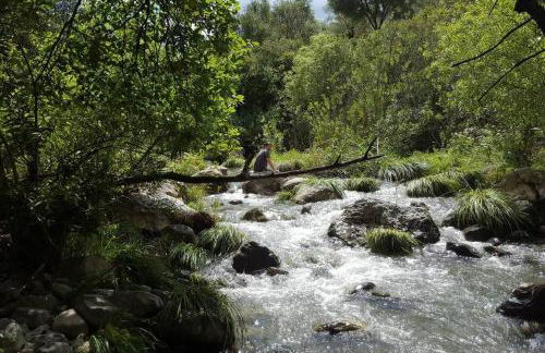 Cortijo, Grazalema, piscina, 5 Hbts con baño, AC, - Foto 38