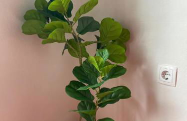 Tsachaki Apartment Pigi Rethymno - Foto 10