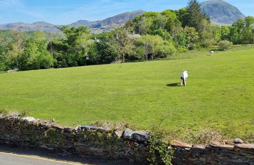 Moelwyn View Cottage - Foto 19