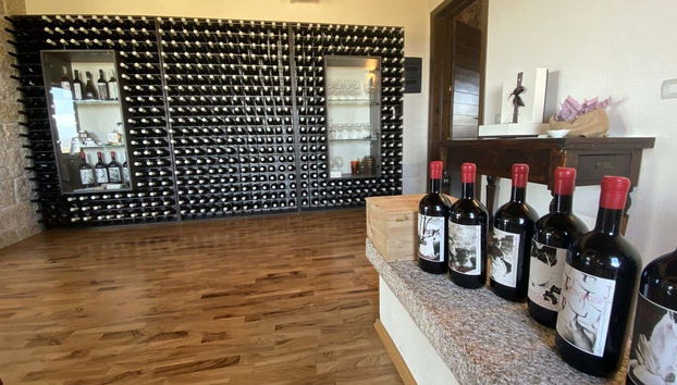 Tour del vino por Olbia - Foto 2