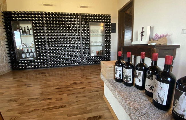 Olbia Wine Tour - Photo 2