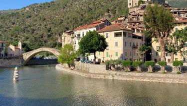 La Tillanzia - Foto 5