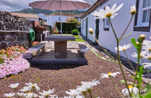 Casa D'Alfaias - Photo 2