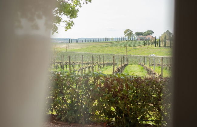 Podere La Rocca - Foto 33