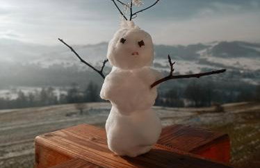 Izby pod Litwinką - Foto 46