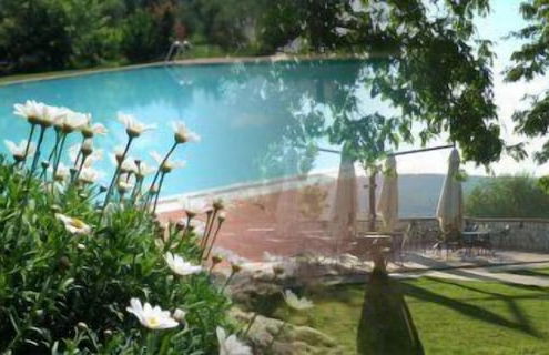 La Vecchia Fattoria - Foto 21