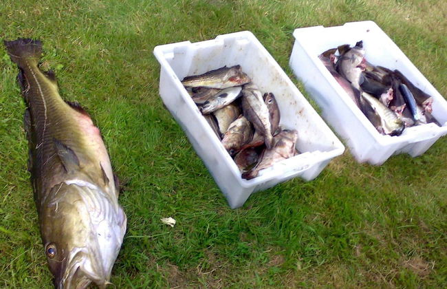 10 Person Holiday Home in Follafoss-by Traum - Foto 16