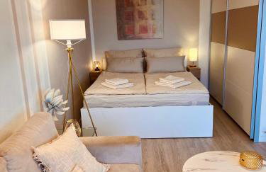 Penthouse studio apartment with terrace near Audi - Photo 22