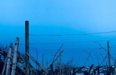 Casa di Dario - Foto 36