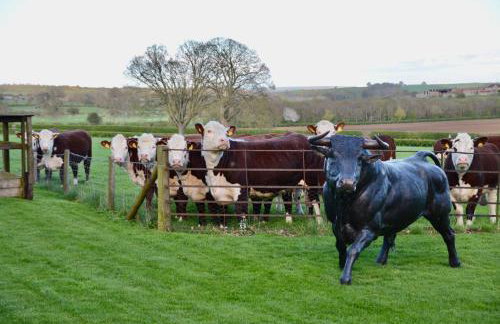 Luxury Old Stone Cottage, Beautifully Presented - Foto 31