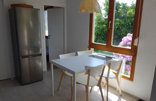 Feriendomizil am Zeulenrodaer Meer - Photo 9