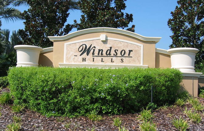 Mickey's Menagerie - Foto 66