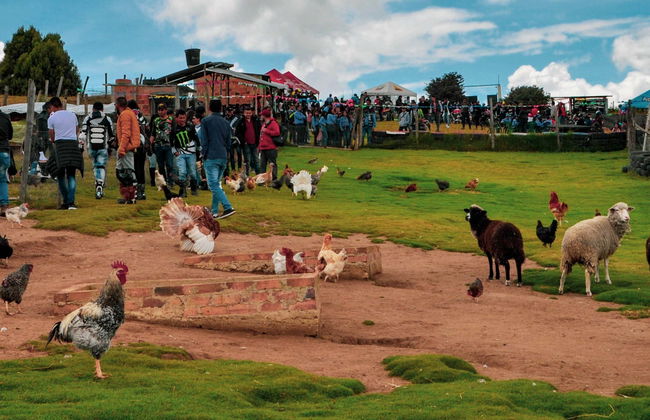 Rural Adventure Tour in Tunja - Photo 1