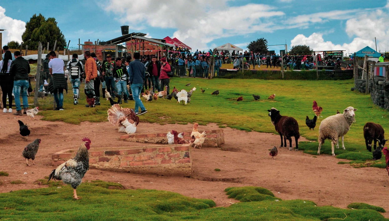 Rural Adventure Tour in Tunja