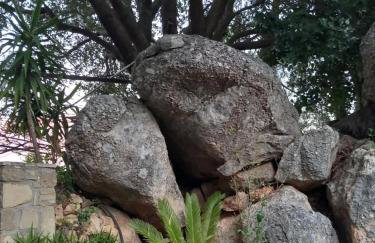 Elis superb villa - Foto 44