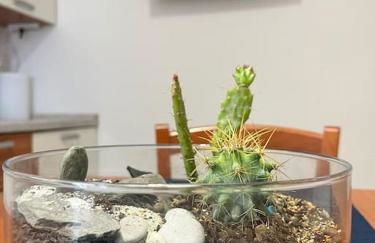 Palazzo Giardinello - Foto 30