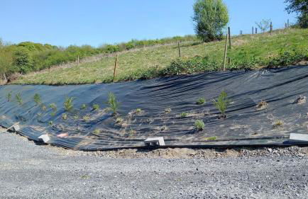 Cosy Rural Gilbert Hights Llandovery Cynghordy - Foto 16