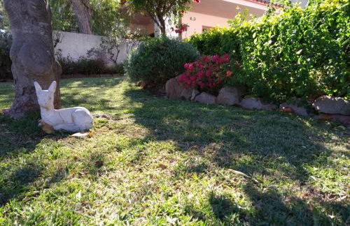 CA L' ANGELINA - Foto 36