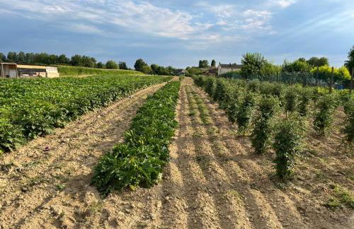 Agriturismo Alla Vigna - Foto 4