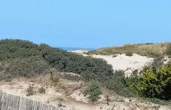 Au bord des Dunes - Foto 11