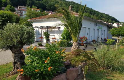 Travelers Home - Foto 1