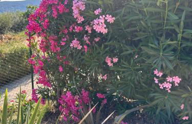 Les Amandiers - Foto 33