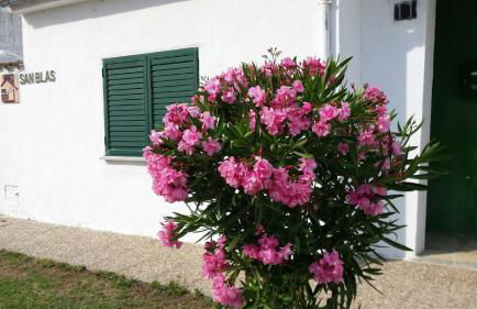 Casa Rural San Blas - Foto 17