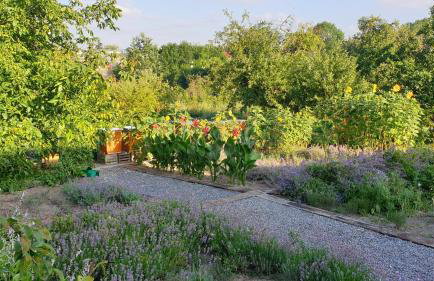 Agroturystyka u Joli - Foto 7