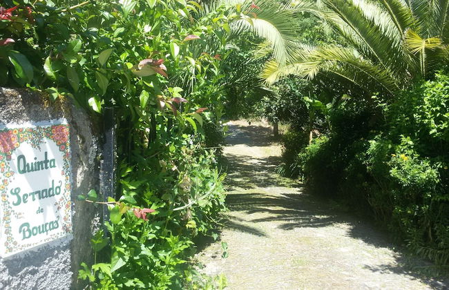 Serrado de Bouças - Foto 68