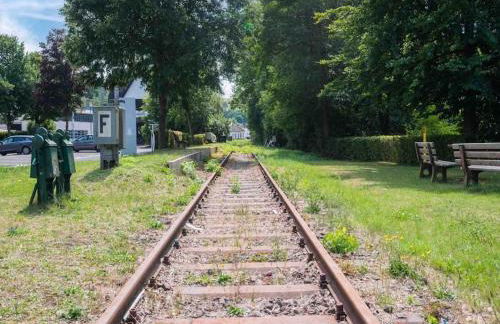 Eyes Ferienhaus im Nationalpark Eifel - Foto 24