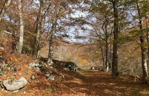 La casa nel bosco-Val Granara guesthouse - Foto 54