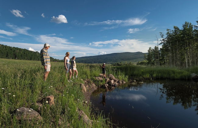 EML 1 Pack Saddle Jack - Foto 60