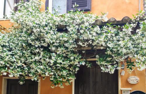 Vicolo Savelli Holiday Home - Foto 15