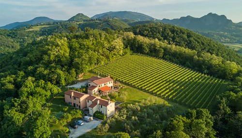 Agriturismo Terre Bianche - Foto 4, Garden view
